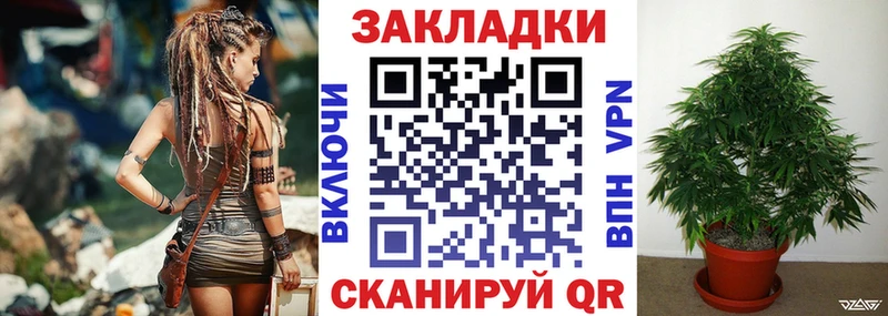 Наркота Верхний Тагил ГАШ  Alpha PVP  Галлюциногенные грибы  Мефедрон  МАРИХУАНА  COCAIN 