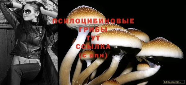меф Белоозёрский