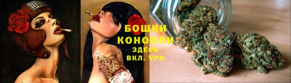 дурь Белокуриха