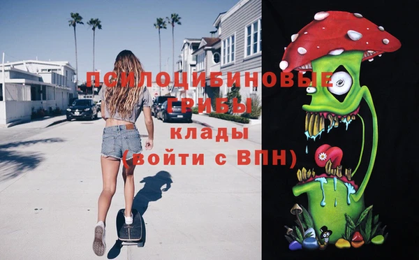 дурь Белокуриха