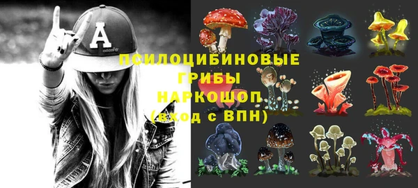дурь Белокуриха