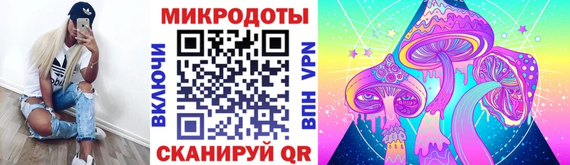 Псилоцибиновые грибы Psilocybe  купить  цена  Верхний Тагил 